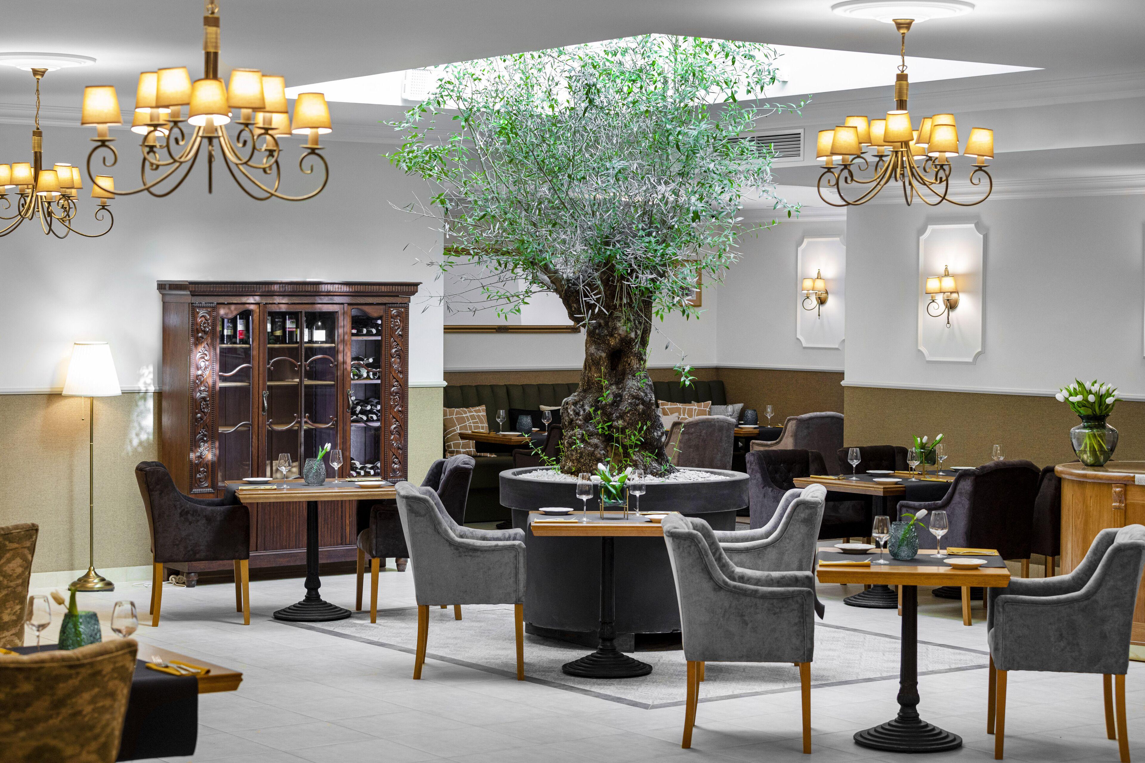Ventus Rosa Boutique Aparthotel — Photos 1
